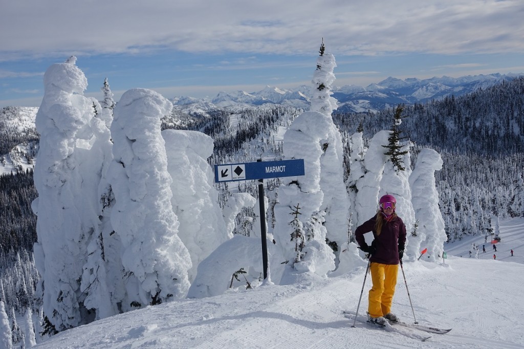 Whitefish Treeskiing c Bernhard Krieger